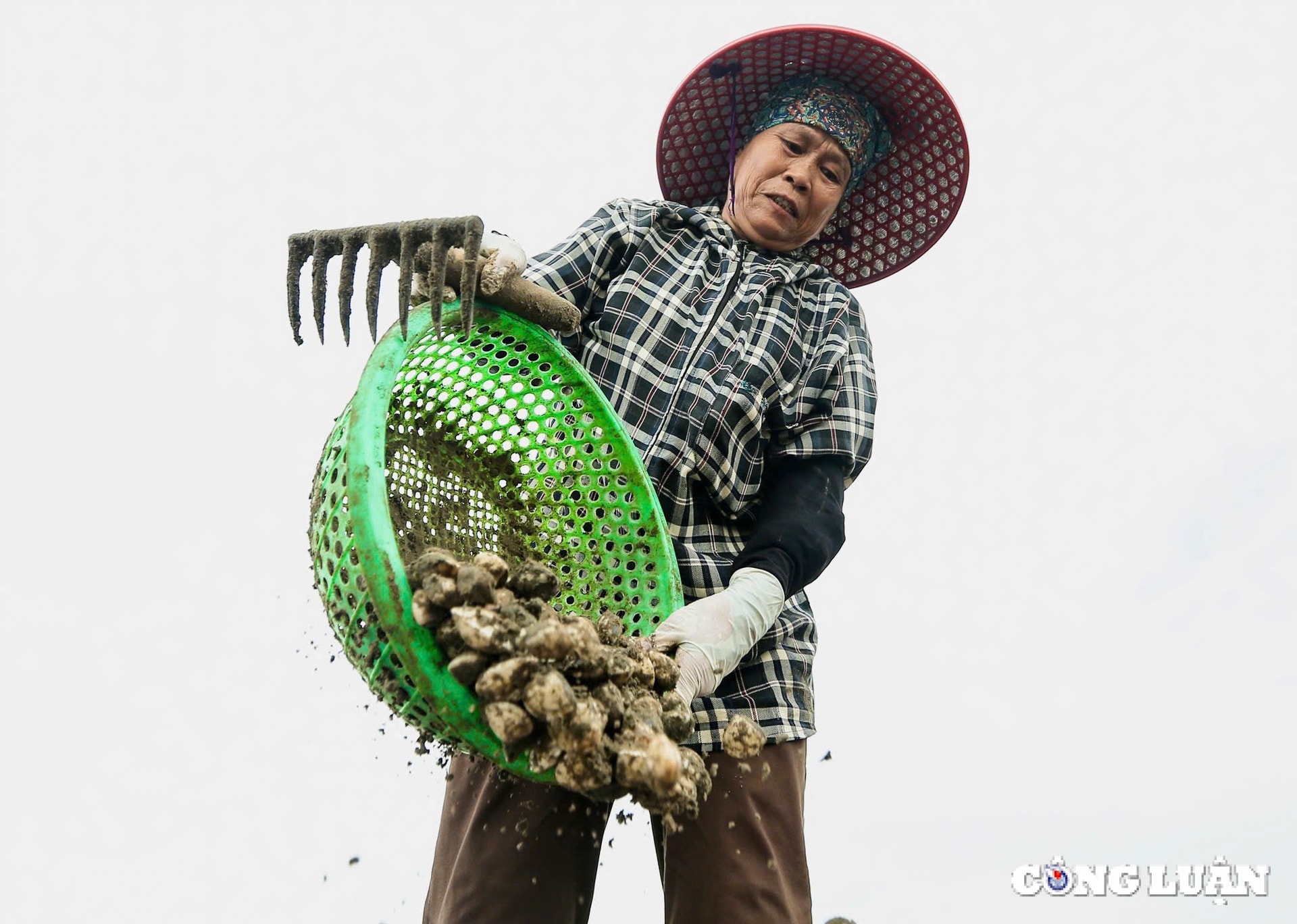 ve lach bang xem nguoi dan cao ngao kiem tien trieu moi ngay hinh 4