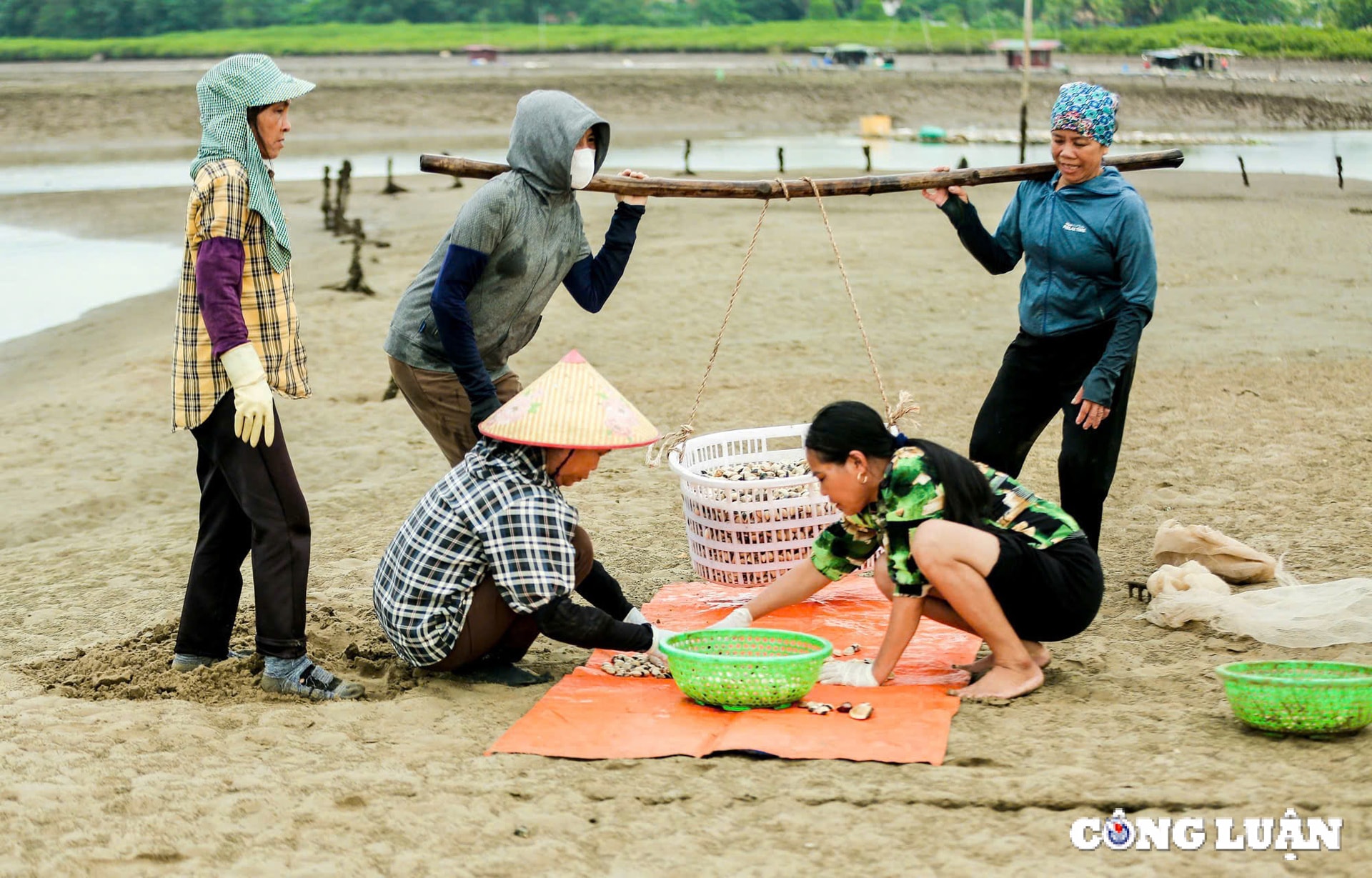 ve lach bang xem nguoi dan cao ngao kiem tien trieu moi ngay hinh 2