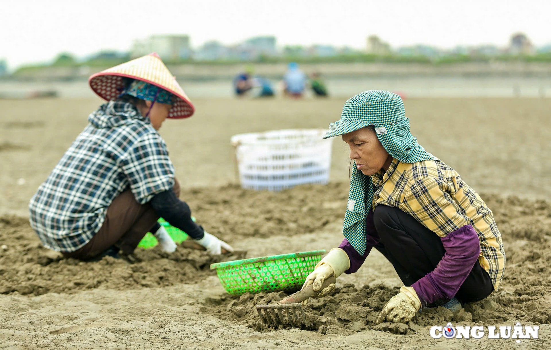 ve lach bang xem nguoi dan cao ngao kiem tien trieu moi ngay hinh 5