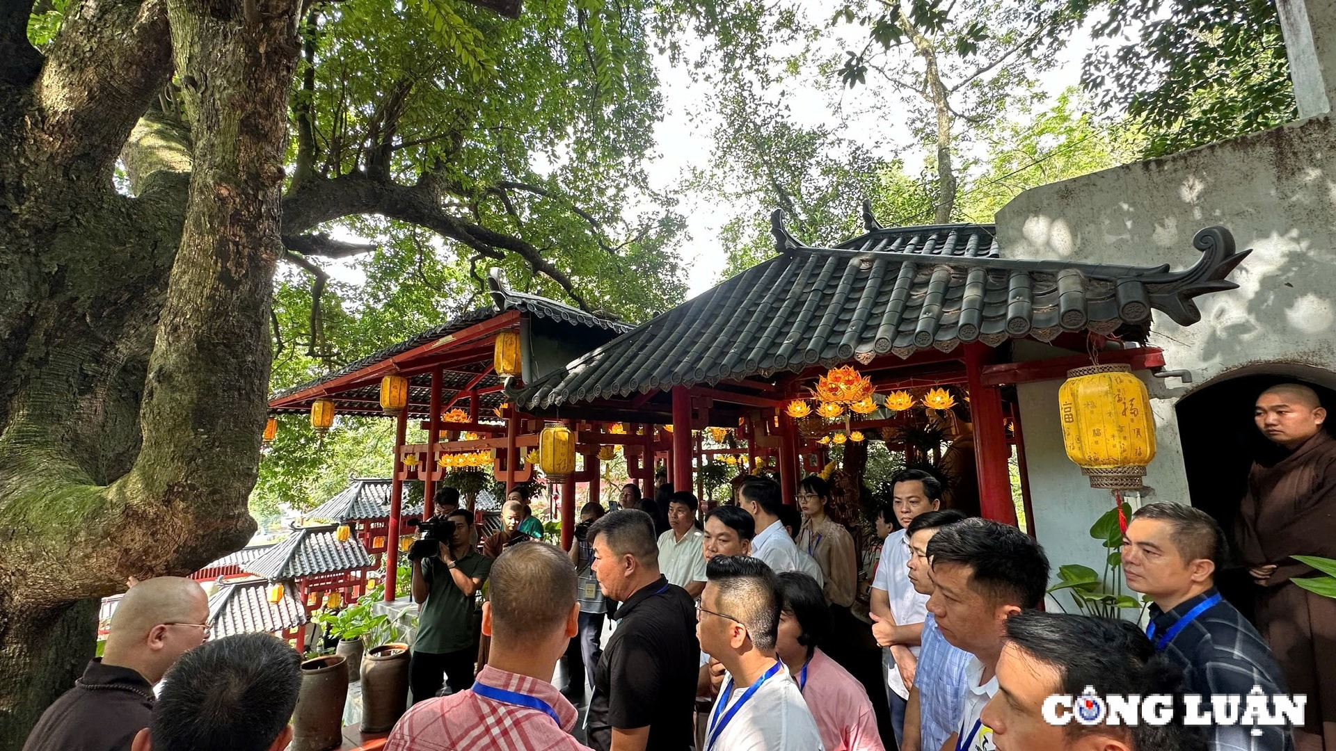 khong gian ngoi chua co co cay thi gan 400 nam tuoi o ha nam hinh 7