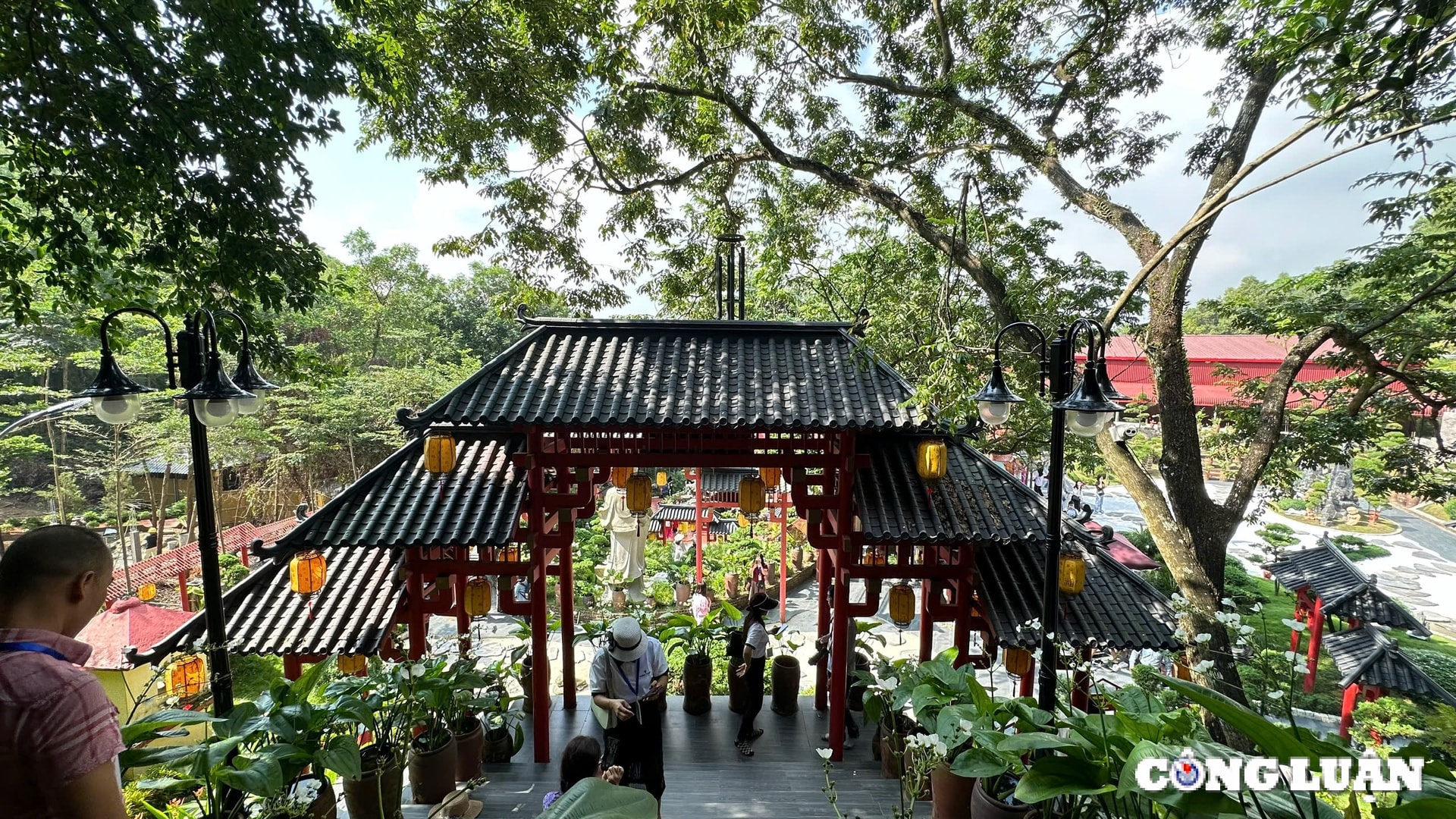 khong gian ngoi chua co co cay thi gan 400 nam tuoi o ha nam hinh 4