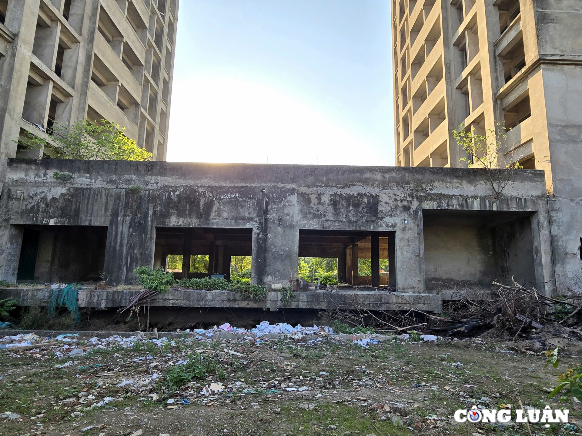 som chuyen doi khu nha o sinh vien phap van tu hiep sang nha o xa hoi tranh lang phi hinh 4