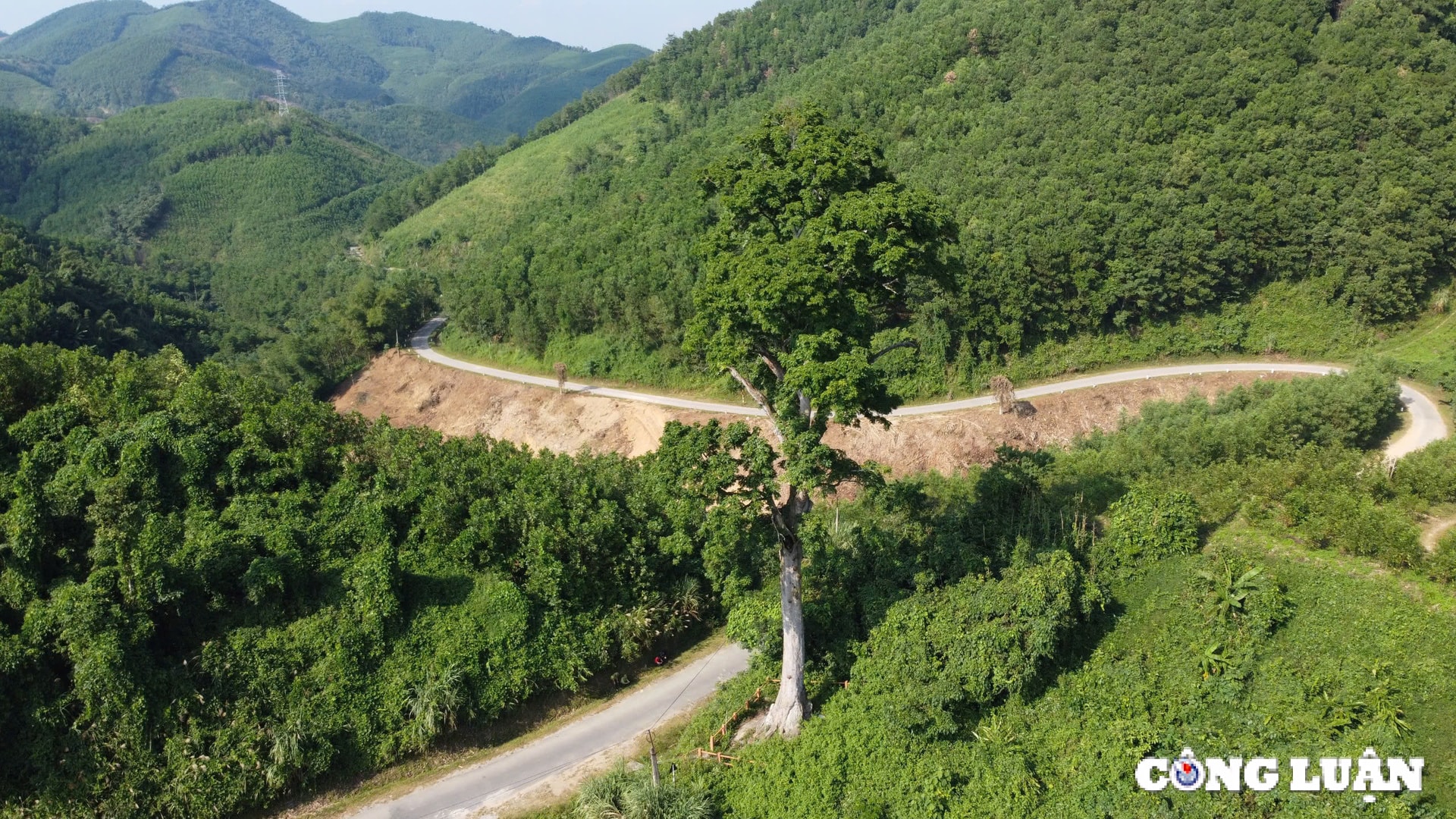 bau vat xanh nghin nam tuoi con lai o ben en hinh 1