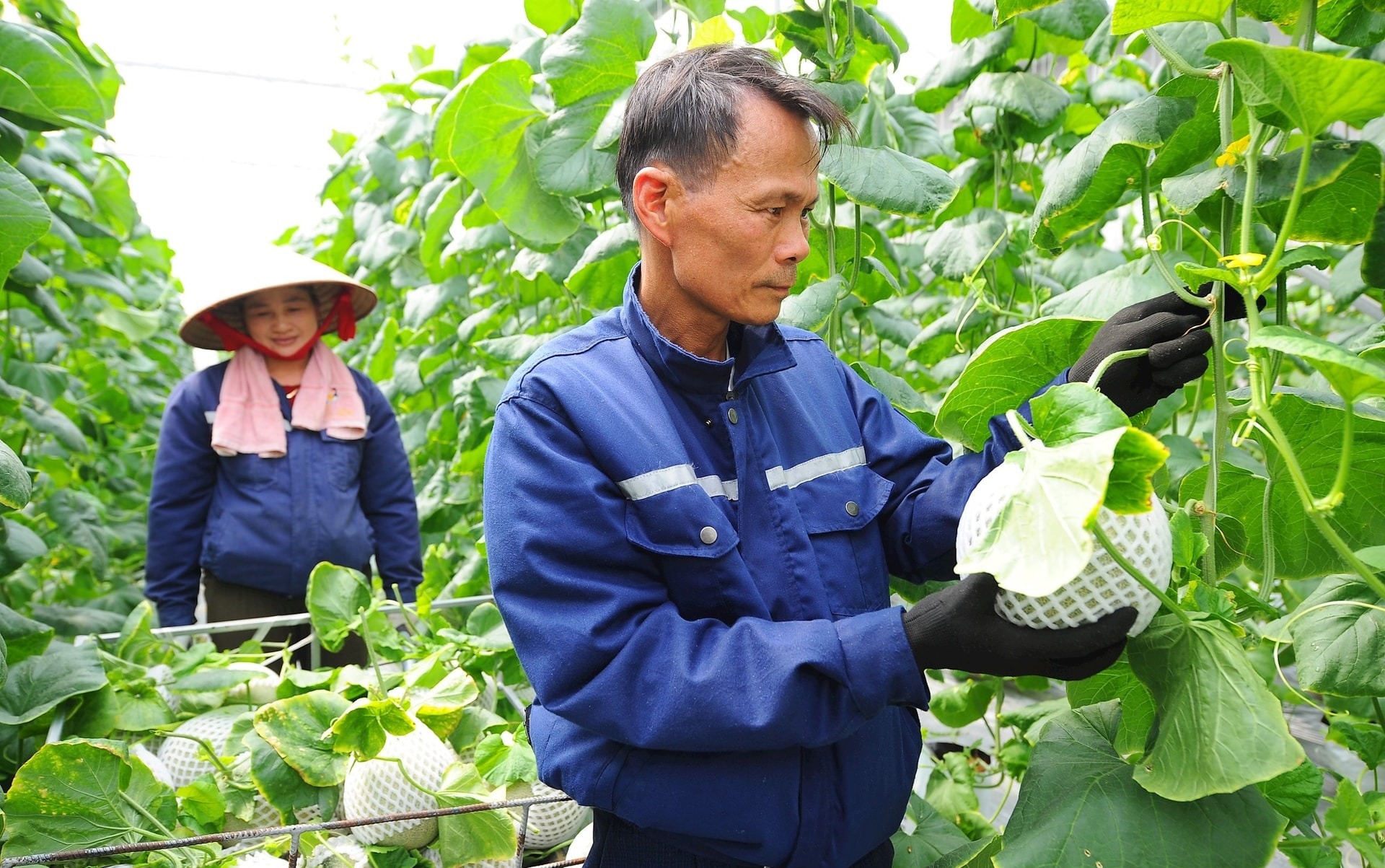 nam 2024 hai duong du kien co 13 chi tieu kinh te xa hoi dat va vuot ke hoach da de ra hinh 1