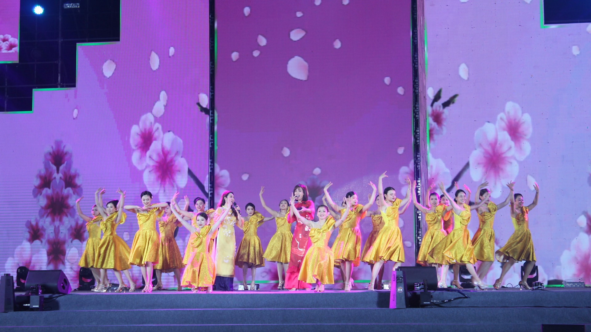 festival hoa da lat 2024 san sang cho ngay hoi lon hinh 2