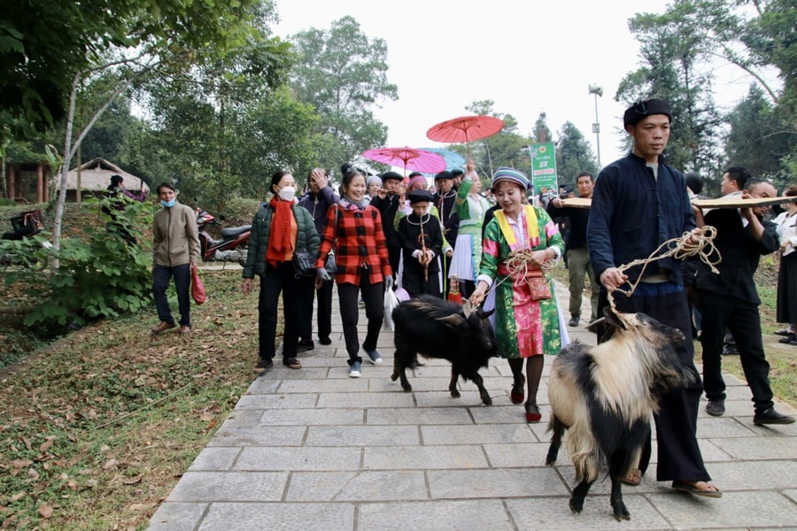 to chuc cho phien vung cao chao nam moi 2025 tai lang van hoa hinh 1