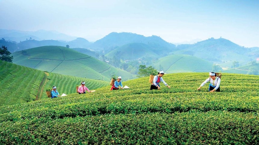 viet nam lan dau dang cai hoi nghi quoc te ve du lich nong thon hinh 1