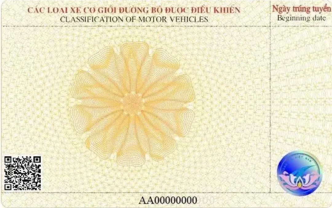 mau giay phep lai xe moi nhat duoc ap dung tu nam 2025 hinh 2