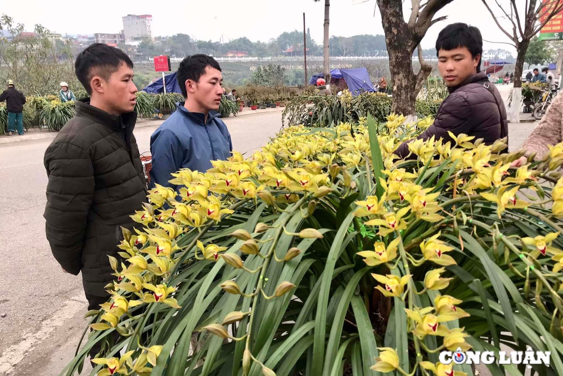 lao cai cho hoa dia lan sa pa tet at ty nhieu nguoi xem con it nguoi mua hinh 1
