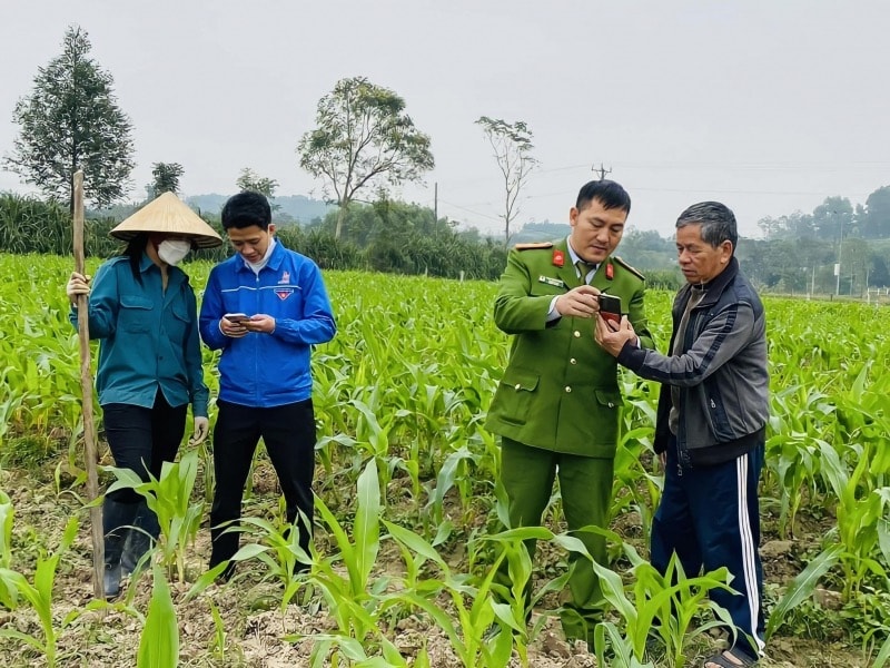 chuyen doi so dacham tung ngo den tung nha hinh 1