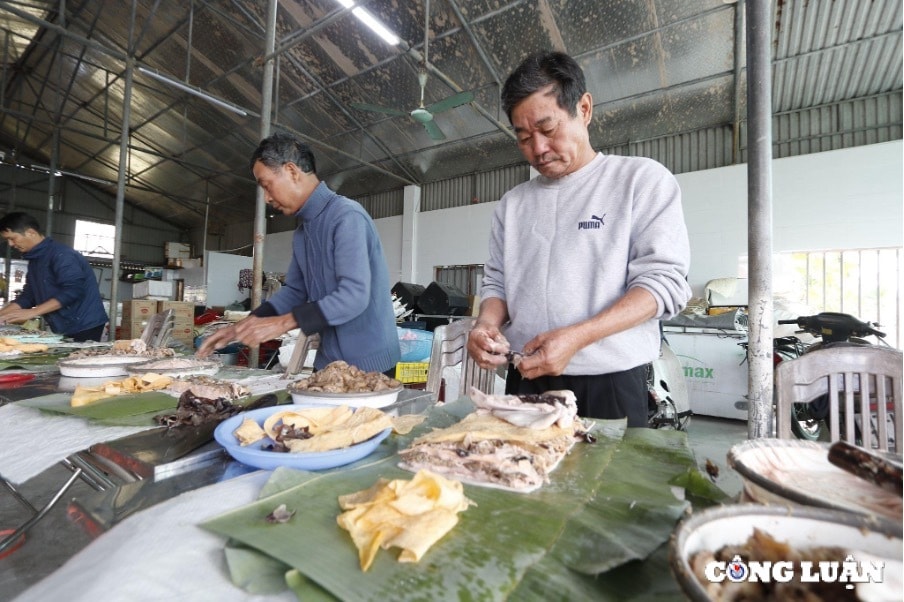 gio nay len mam co tet tai thai binh hinh 1