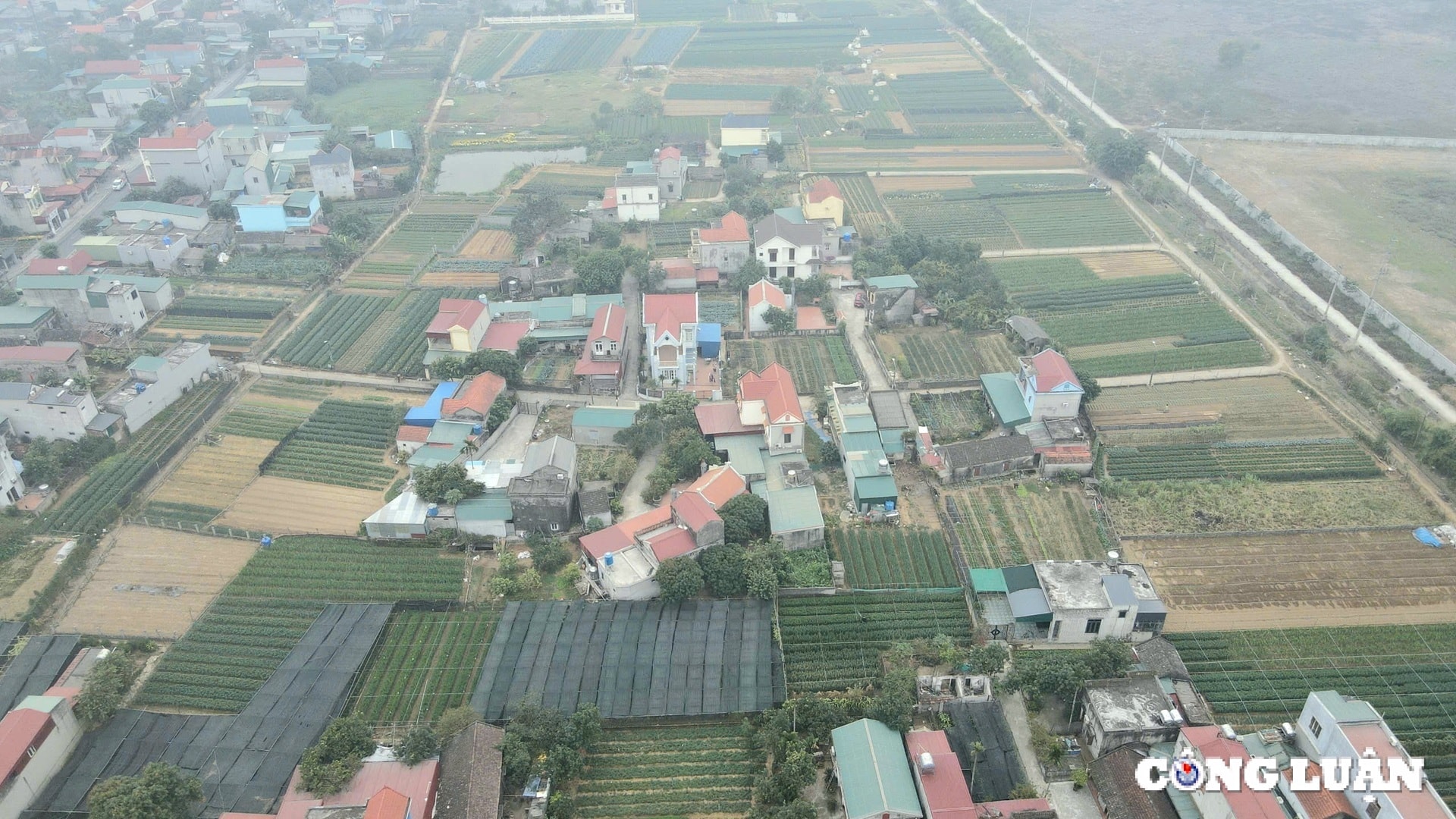 lang trong hoa lon nhat ninh binh hoi ha vao tet hinh 1