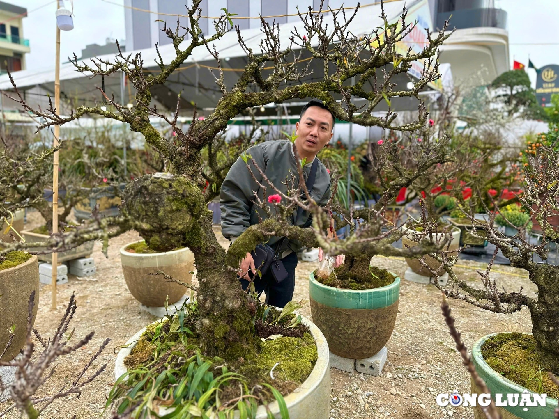 tp hai duong dao that thon hut khach dip tet nguyen dan at ty 2025 hinh 8