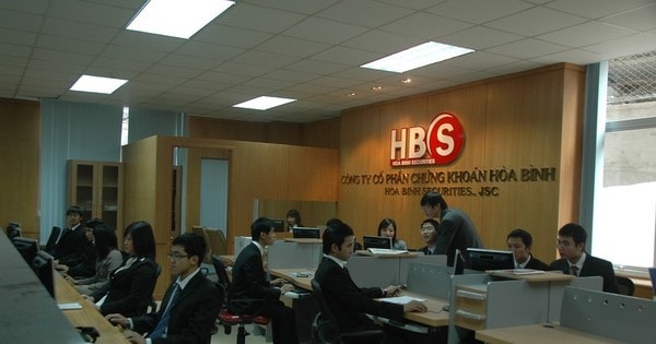 lanh dao chung khoan hoa binh hbs gom co phieu bien dong lon trong co cau co dong hinh 1