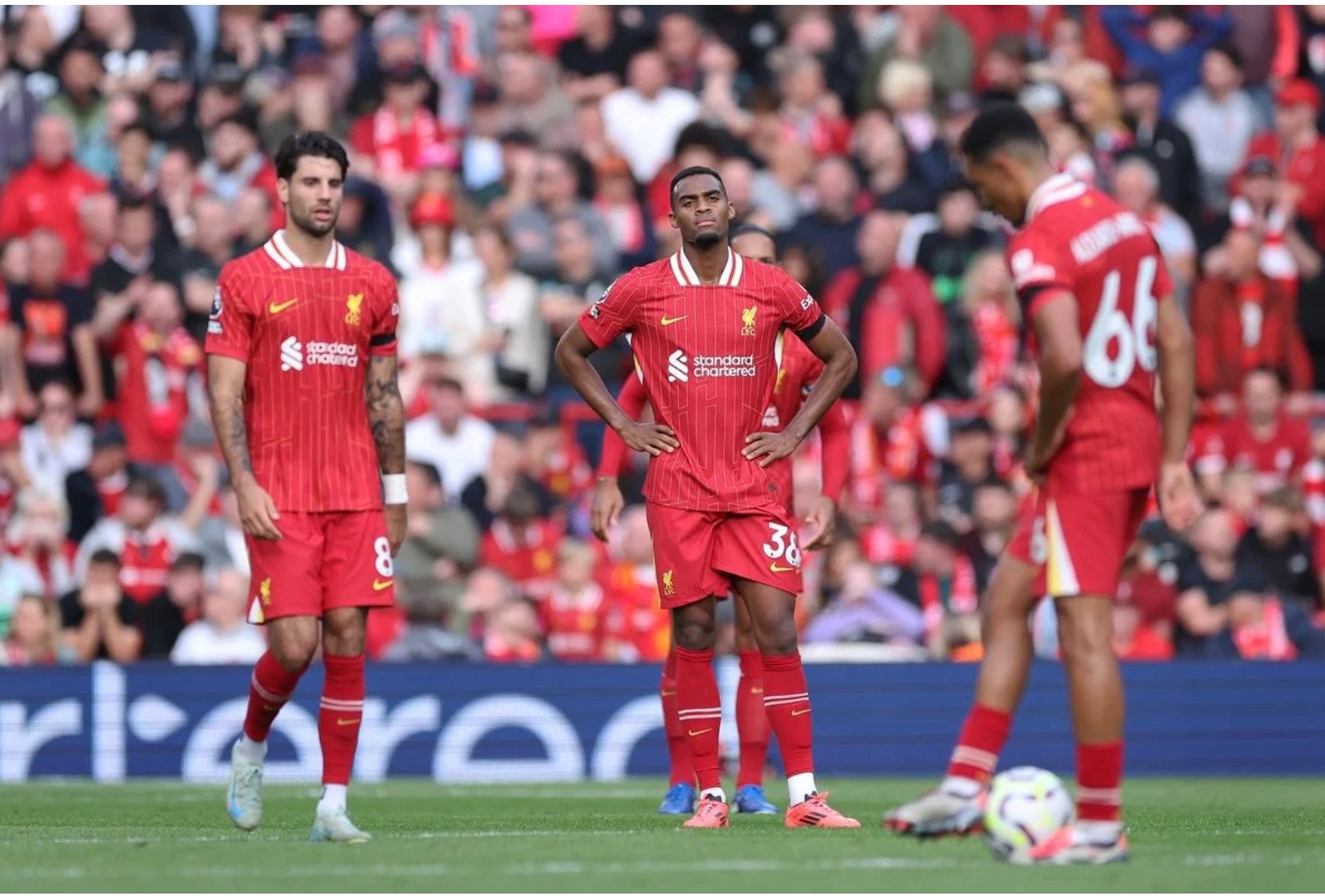nhan dinh nottingham vs liverpool 3h ngay 15 1 tai ngoai hang anh 2024 25 hinh 1
