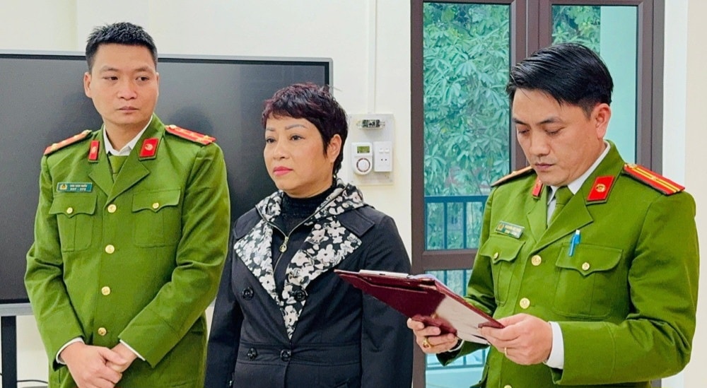 bat doi tuong lap di chuc gia de chiem doat tai san hinh 1