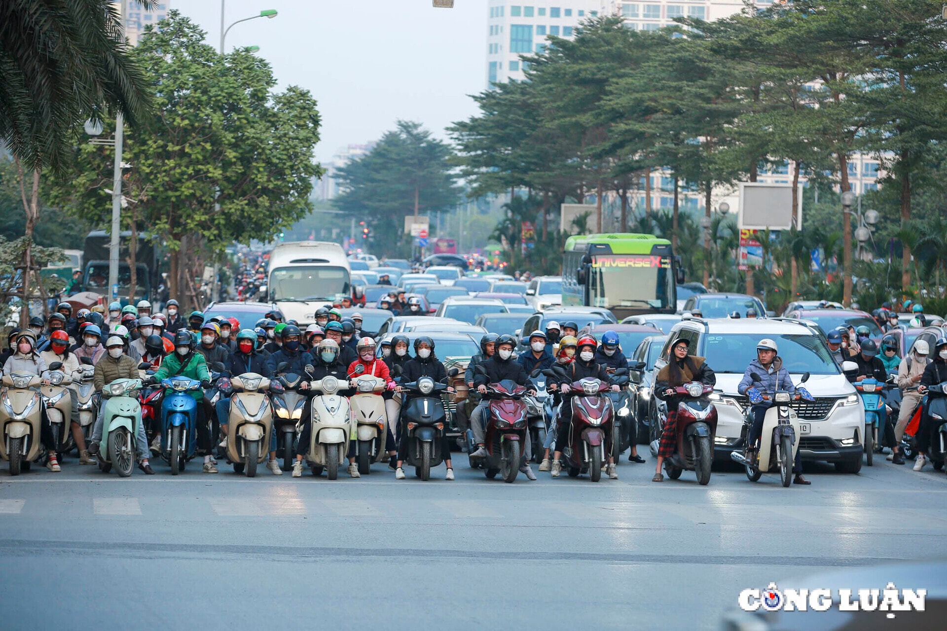 thi truong thue xe tu lai tram lang vi lo phat nguoi hinh 1