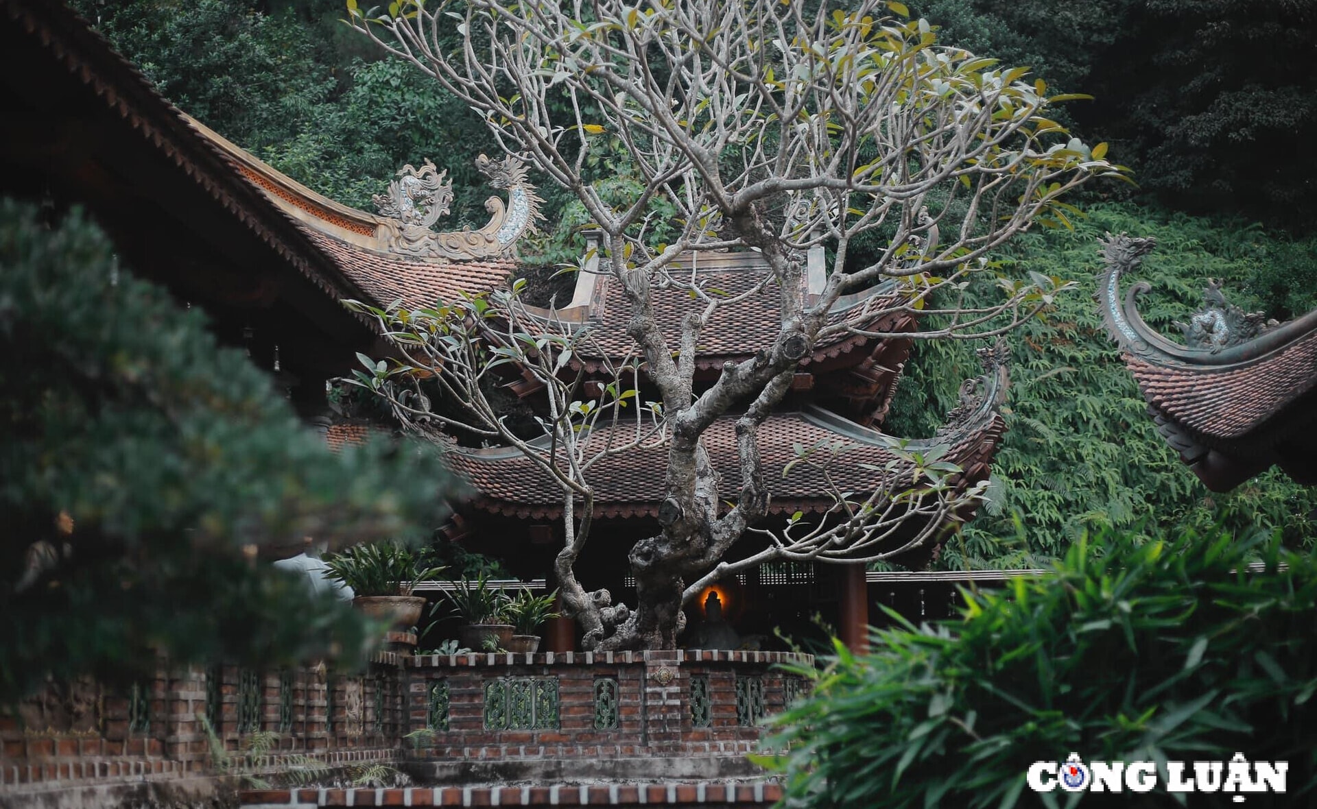 dau nam du xuan den dia tang phi lai tu ngoi chua dep nhu chon tien canh o ha nam hinh 1