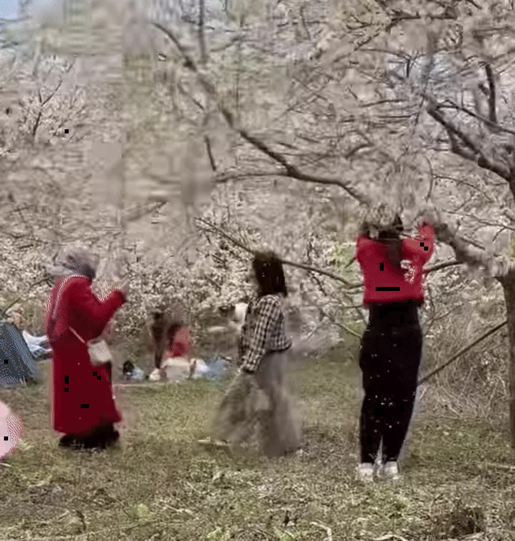 xon xao hinh anh du khach song ao danh du lac canh hoa man o lao cai hinh 1
