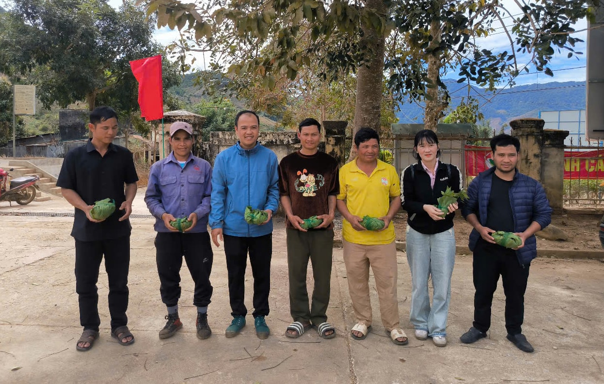 kon tum cap phat hon 3300 cay giong sam ngoc linh cho nguoi ngheo hinh 1