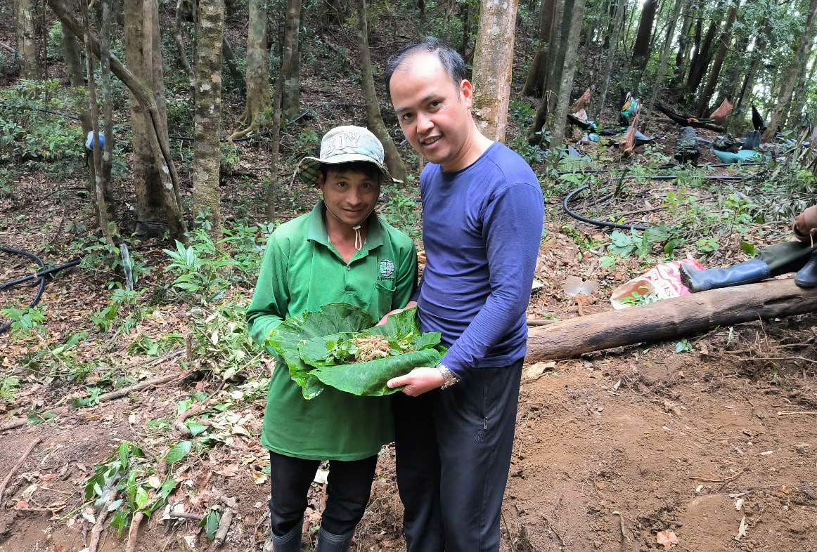 kon tum cap phat hon 3300 cay giong sam ngoc linh cho nguoi ngheo hinh 3
