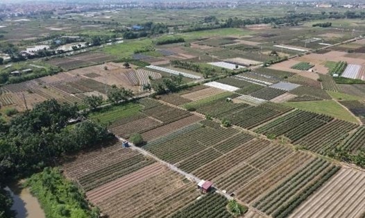 ha noi sap dau gia gan 20000 m2 dat tai ha hoi thuong tin hinh 1