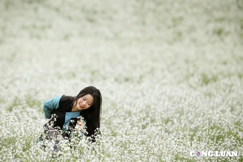 thay gi tu nhung con sot hoa man cua moc chau hinh 4