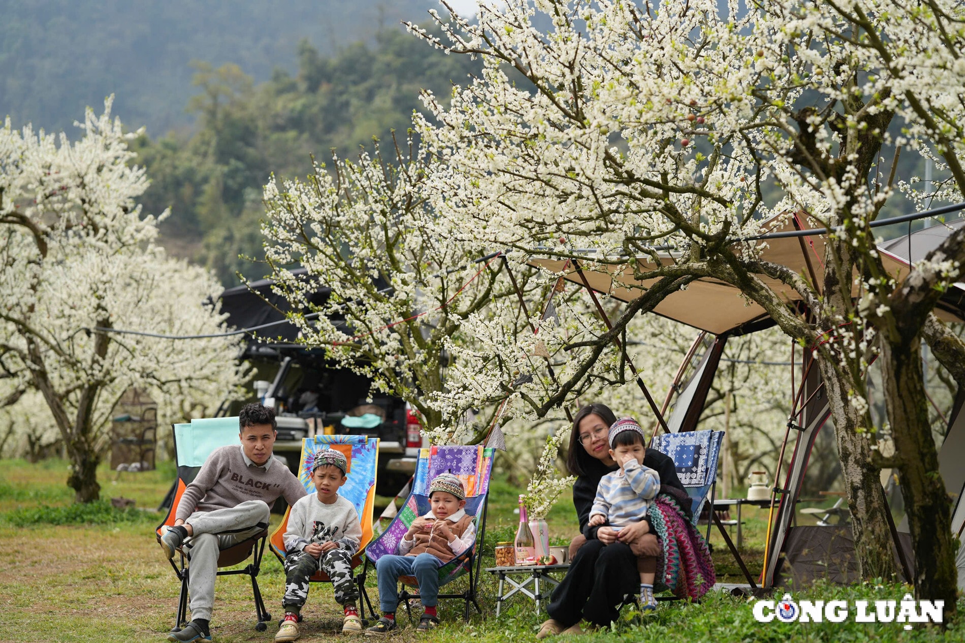thay gi tu nhung con sot hoa man cua moc chau hinh 3