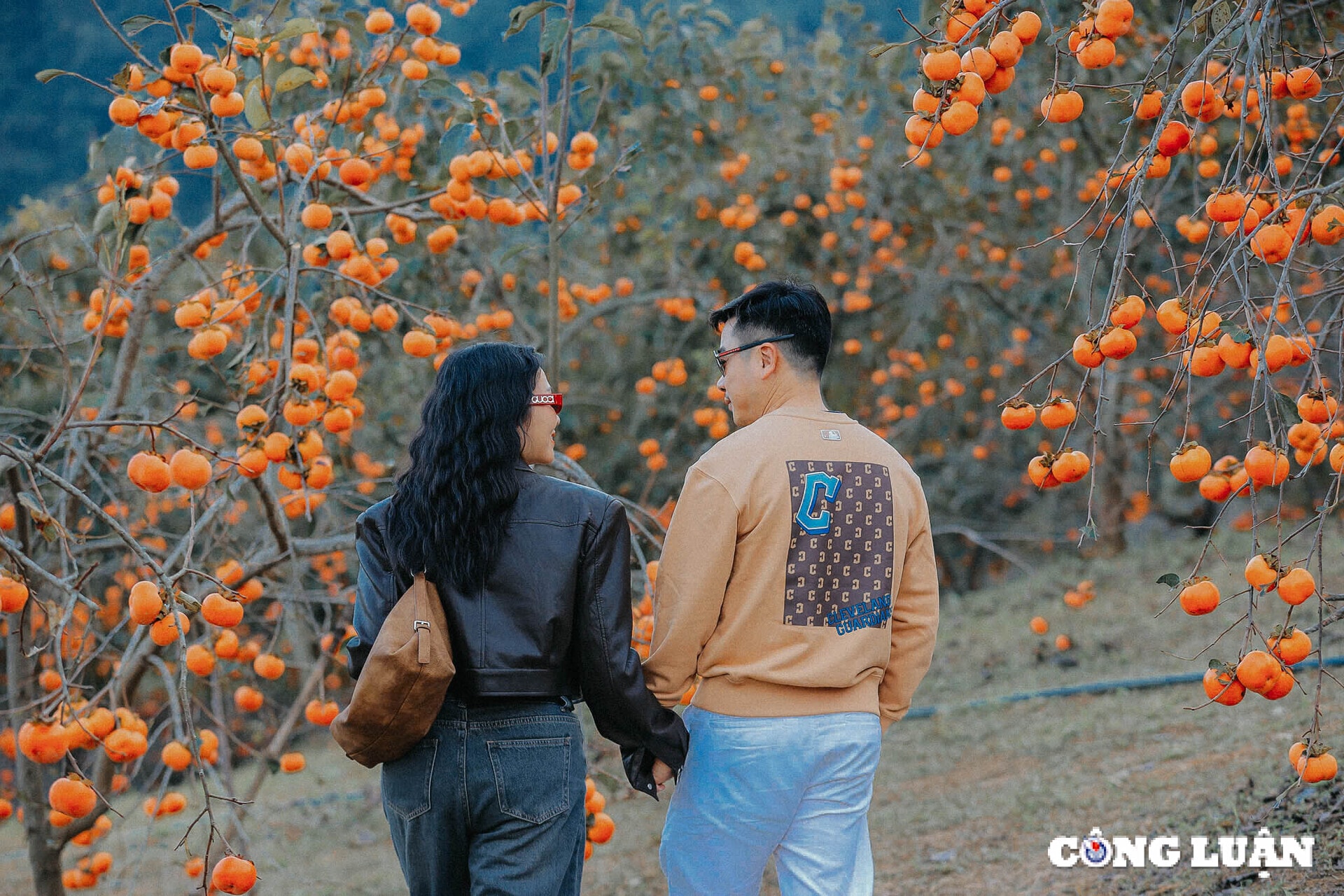 thay gi tu nhung con sot hoa man cua moc chau hinh 5