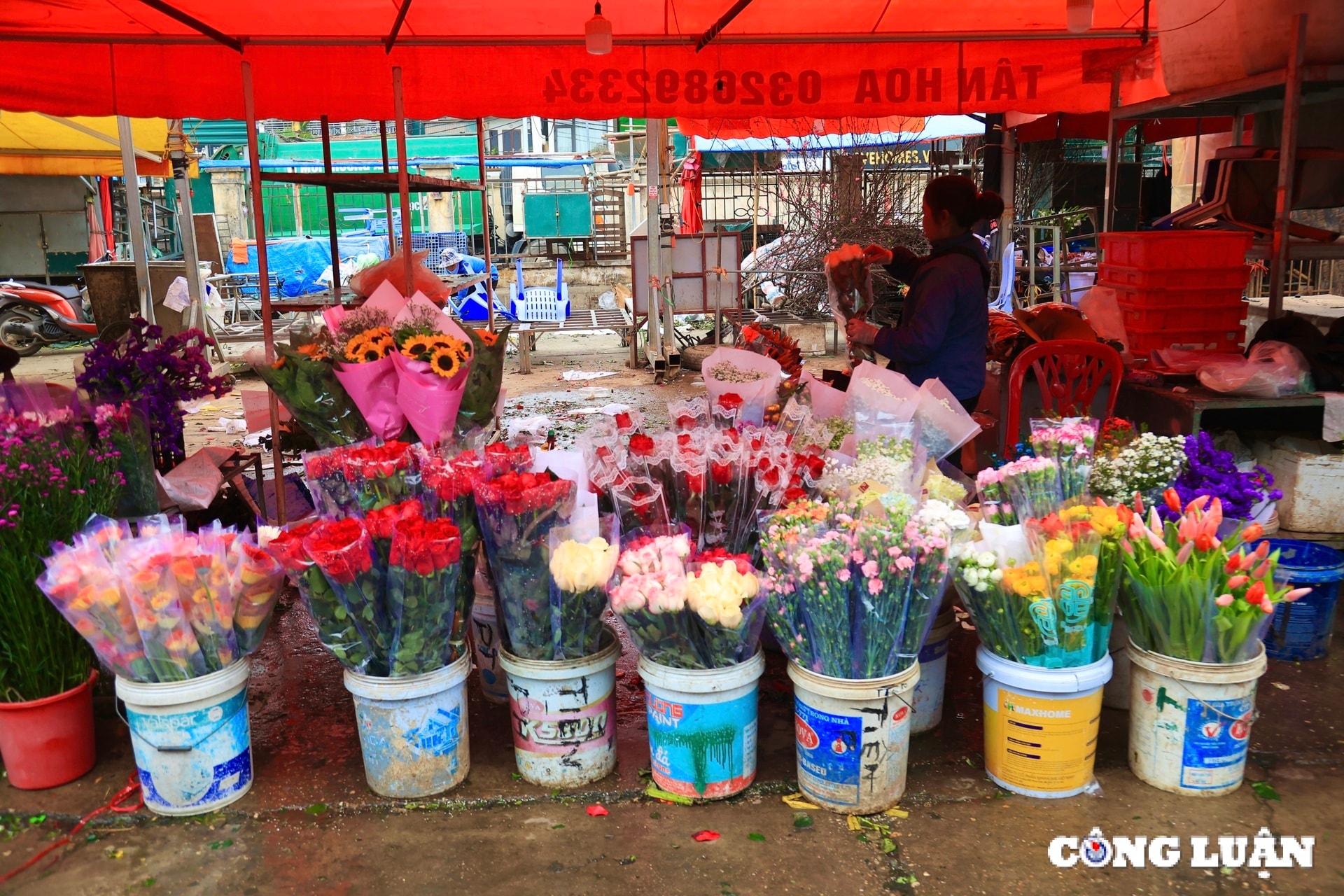nhon nhip nguoi mua ke ban hoa tuoi tai cho quang an hinh 12