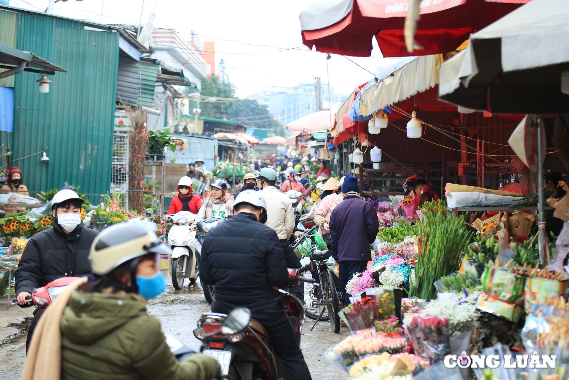 nhon nhip nguoi mua ke ban hoa tuoi tai cho quang an hinh 1