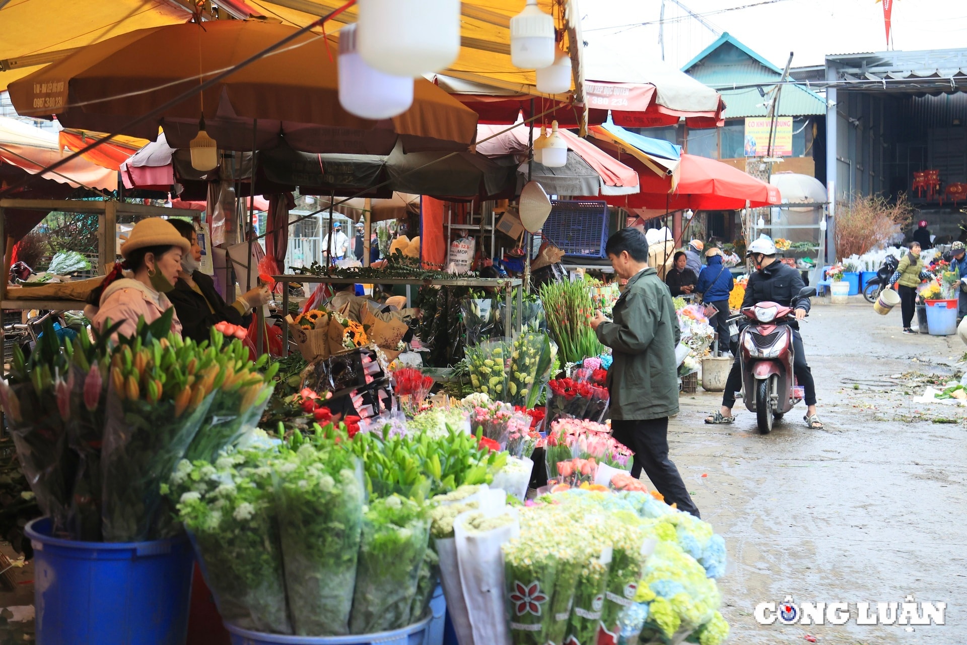 nhon nhip nguoi mua ke ban hoa tuoi tai cho quang an hinh 6