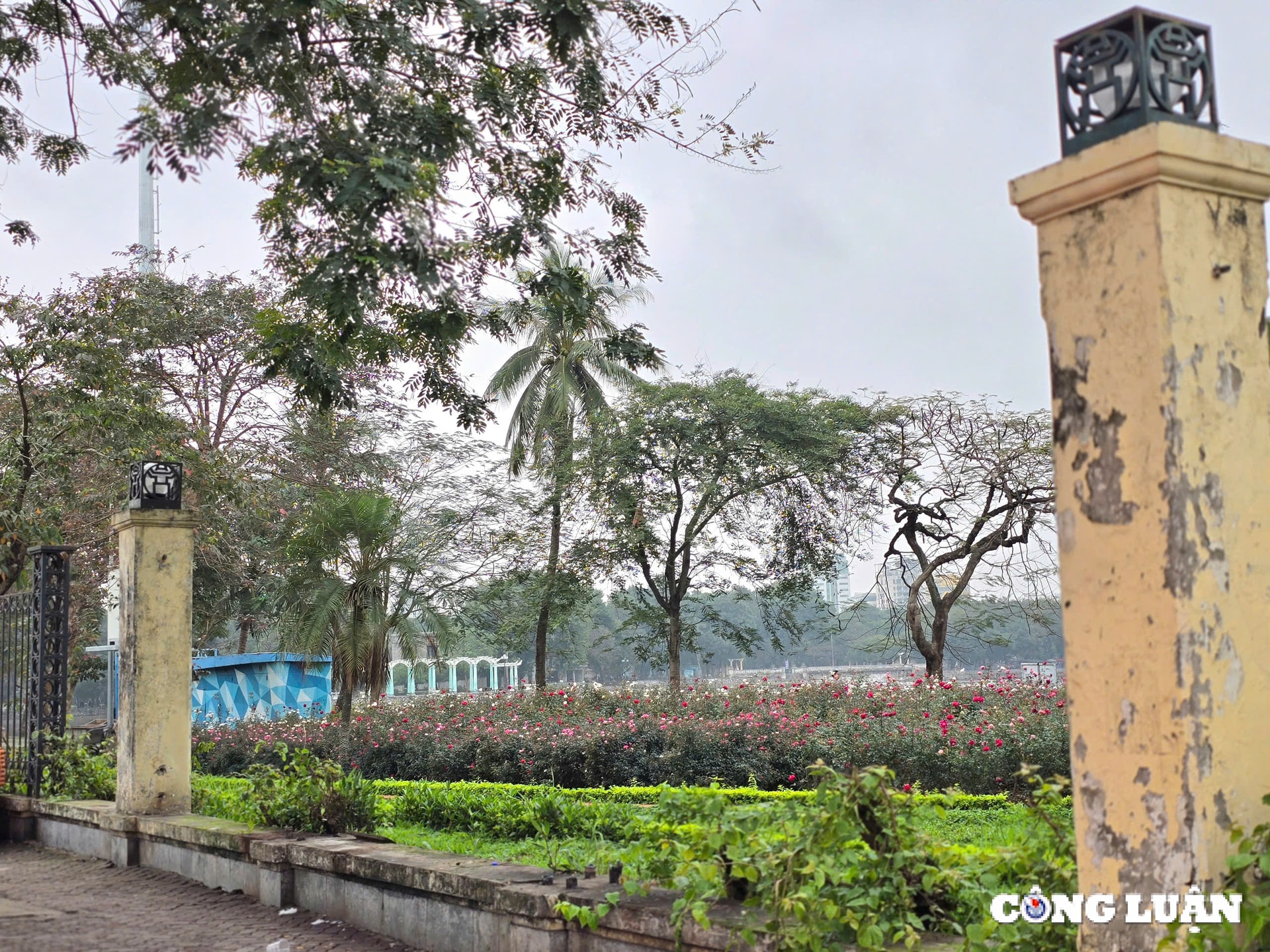 ha noi tiep tuc ha rao chan cong vien thong nhat hinh 6