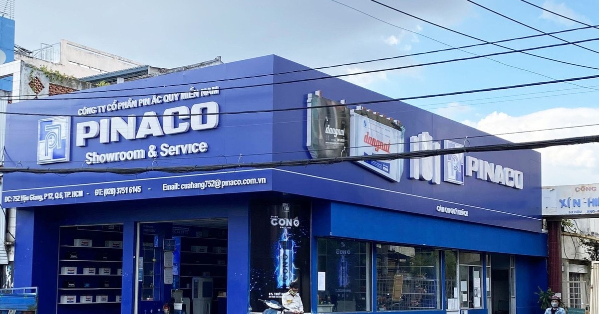 pinaco pac bi phat gan 23 ty dong vi khai sai thue chi phi gia tang bao mon loi nhuan hinh 1