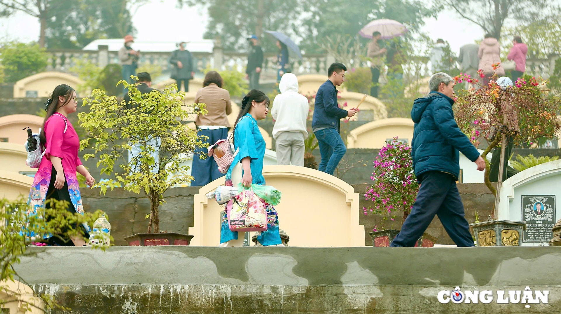 nguoi ha noi vuot hang chuc km di tao mo trong tiet thanh minh hinh 10