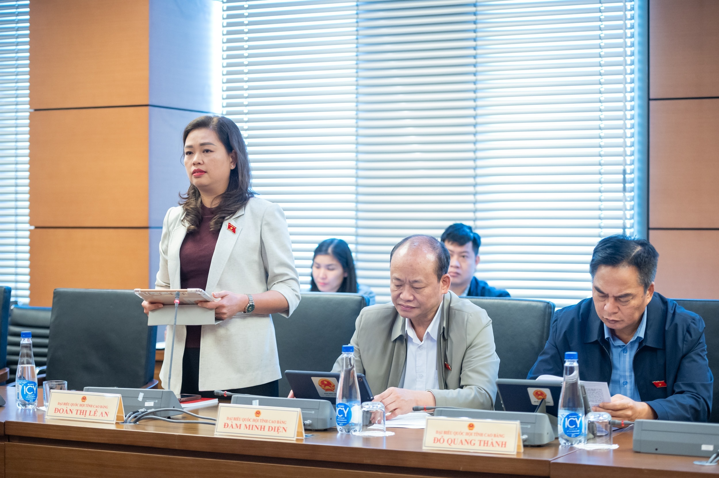 ĐBQH Đoàn Thị Lê An (Cao Bằng)