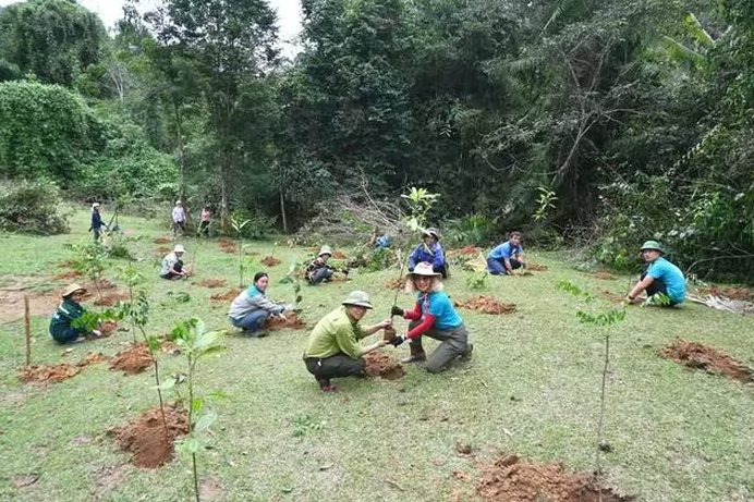 trồng rừng