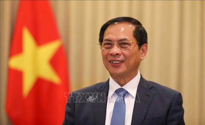 Phó Thủ tướng Chính phủ, Bộ trưởng Ngoại giao Bùi Thanh Sơn - Ảnh: TTXVN