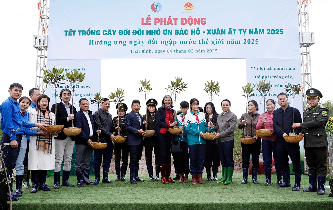 small_20250104_bt-trong-cay-thai-binh_17_515db80efc.png