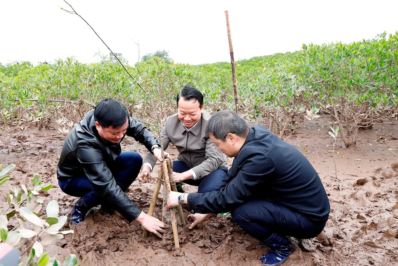 small_20250204_bt-trong-cay-thai-binh_1_c8cc967108.png