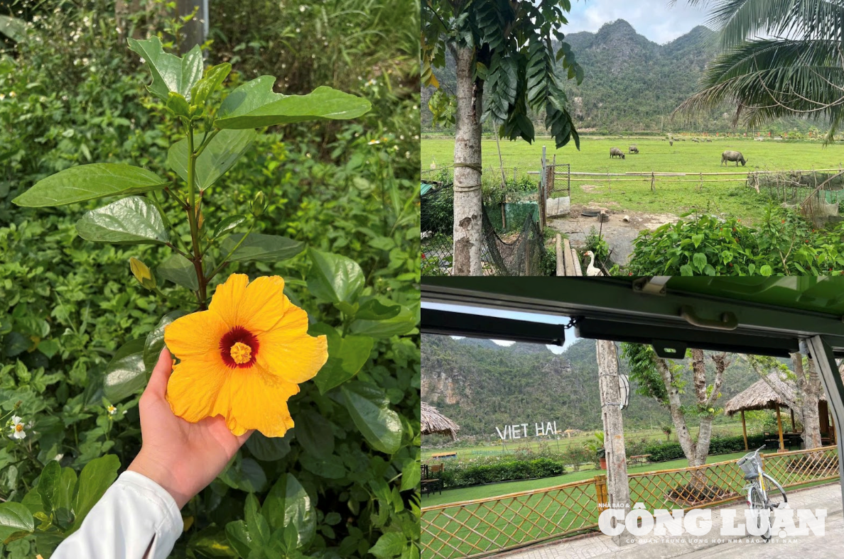 Ảnh màn hình 2025-04-29 lúc 16.09.52