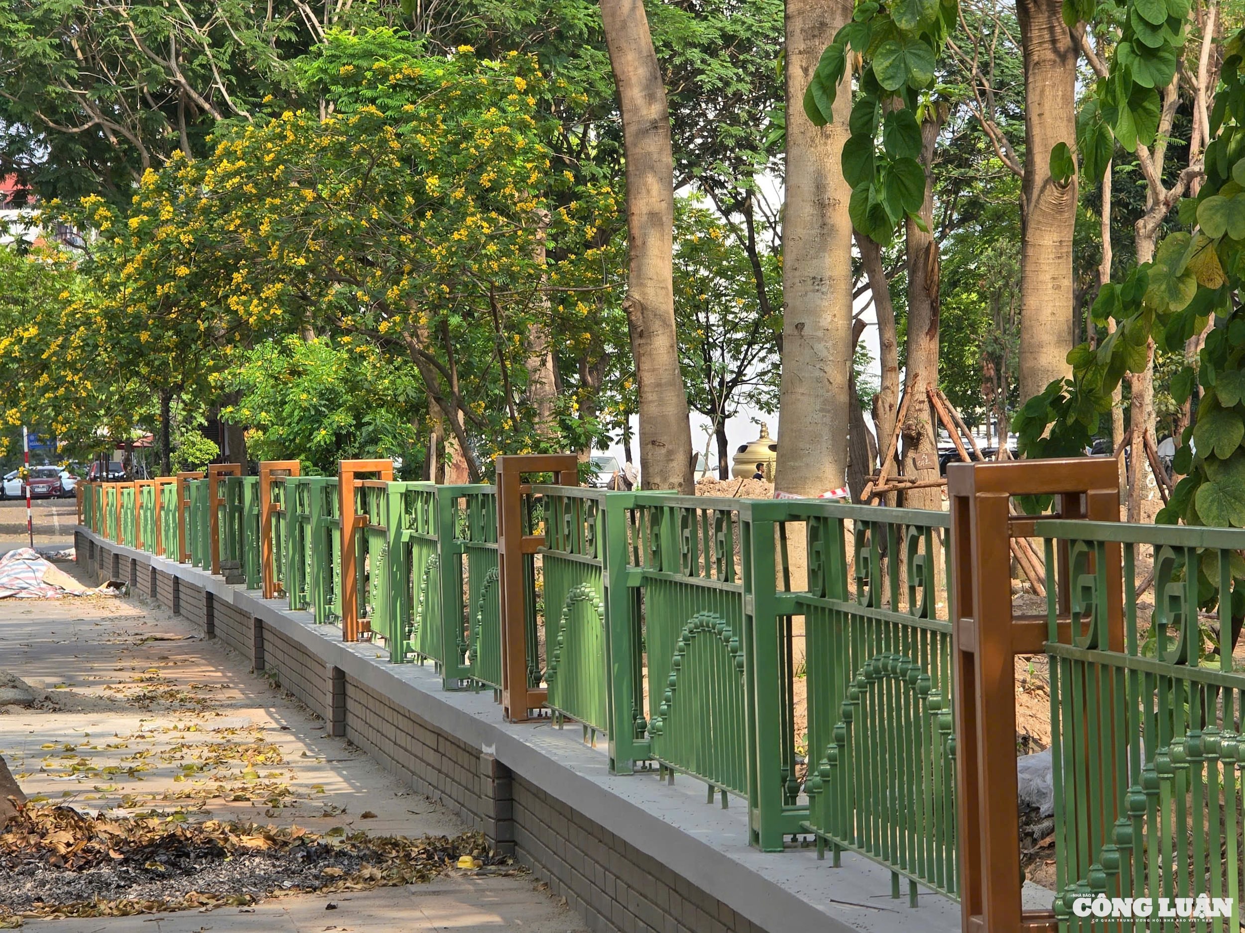 cong vien cau giay congluan 1