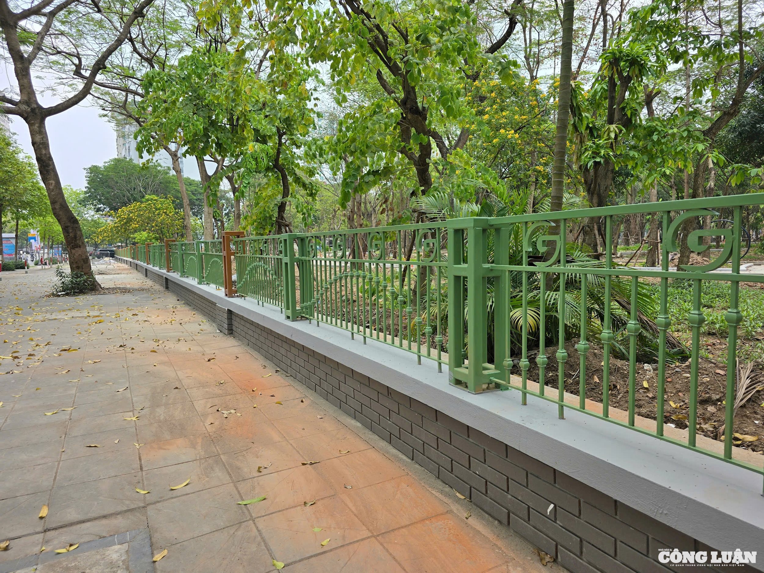 cong vien cau giay congluan 7
