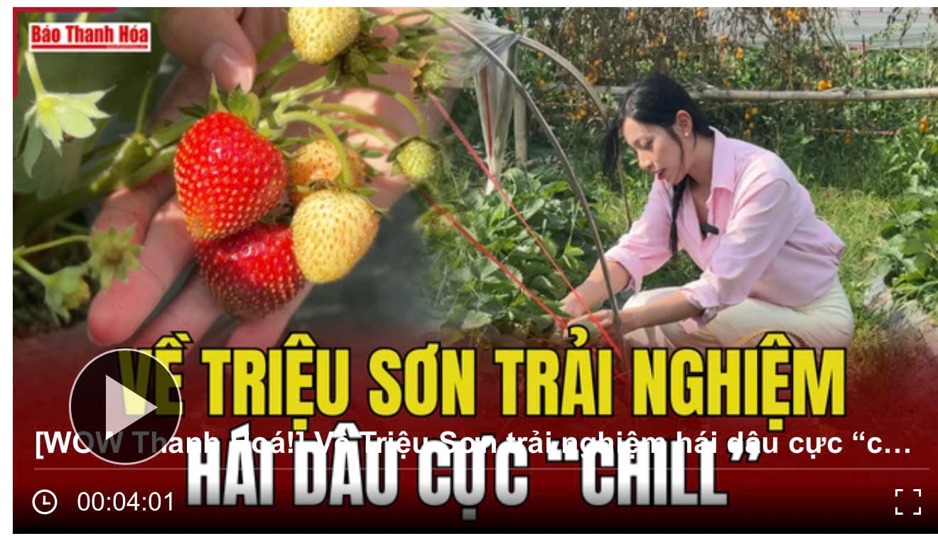 Chuyên mục _WOW!Thanh Hóa_ tiếp cận các chủ đề gần gũi thể hiện hình ảnh và ngôn ngữ mới mẻ nhận được sự đón nhận của đông đảo giới trẻ