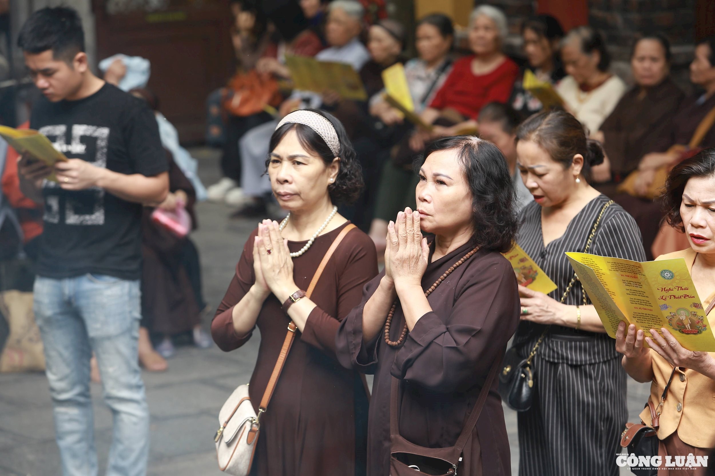 chi81831.jpg
