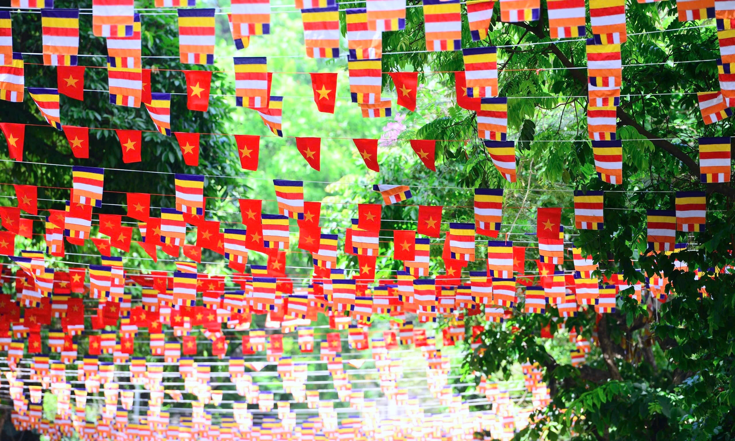 e1f9b1fb-9a21-46e2-8938-7c1e9553a5bc_1_201_a.jpeg