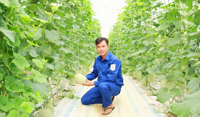 anh 10