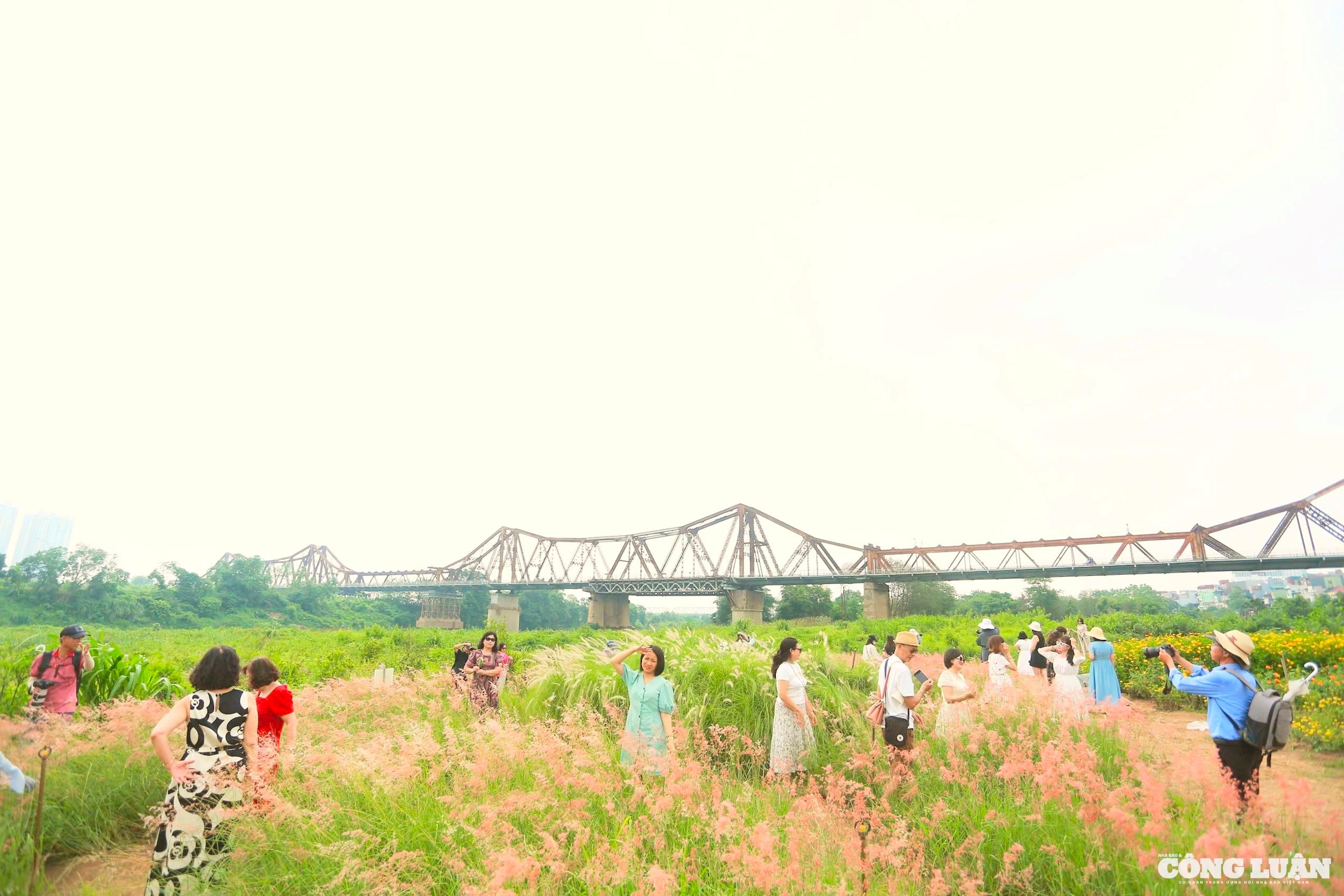 167f0e06-c815-4b6f-bcfa-28d401590bfd_1_201_a.jpeg