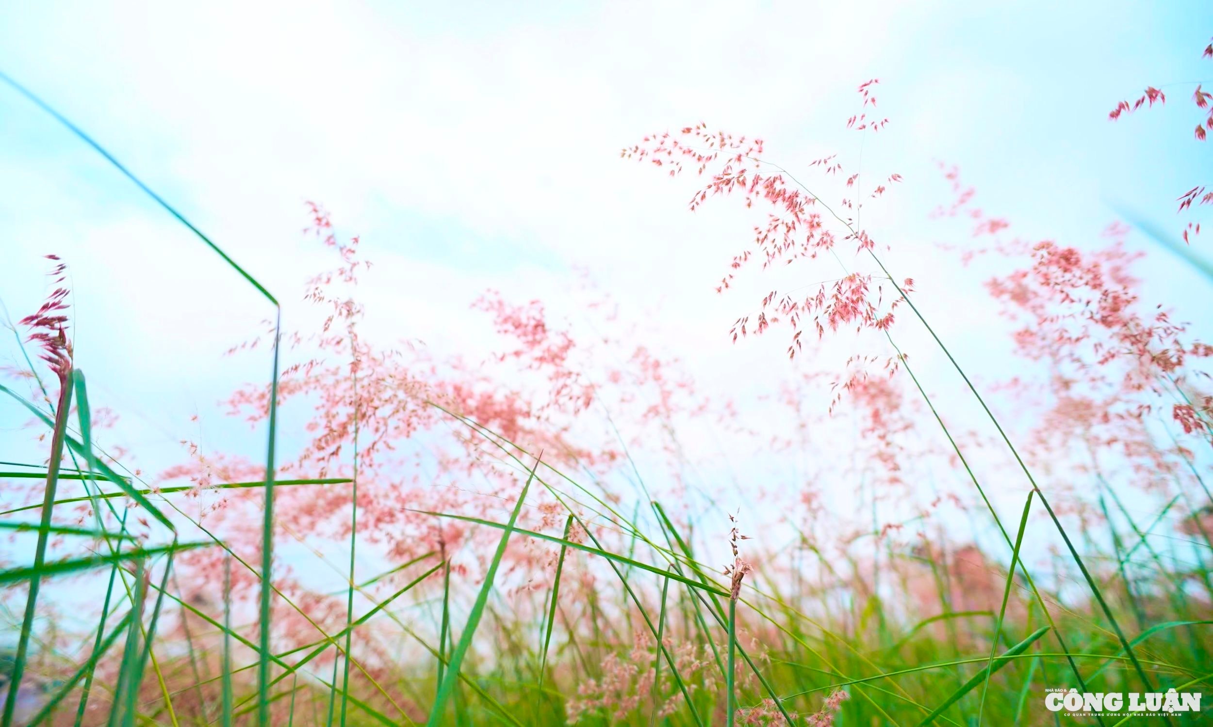 30863e89-4d37-4dd2-974d-69e014dbda56_1_201_a.jpeg
