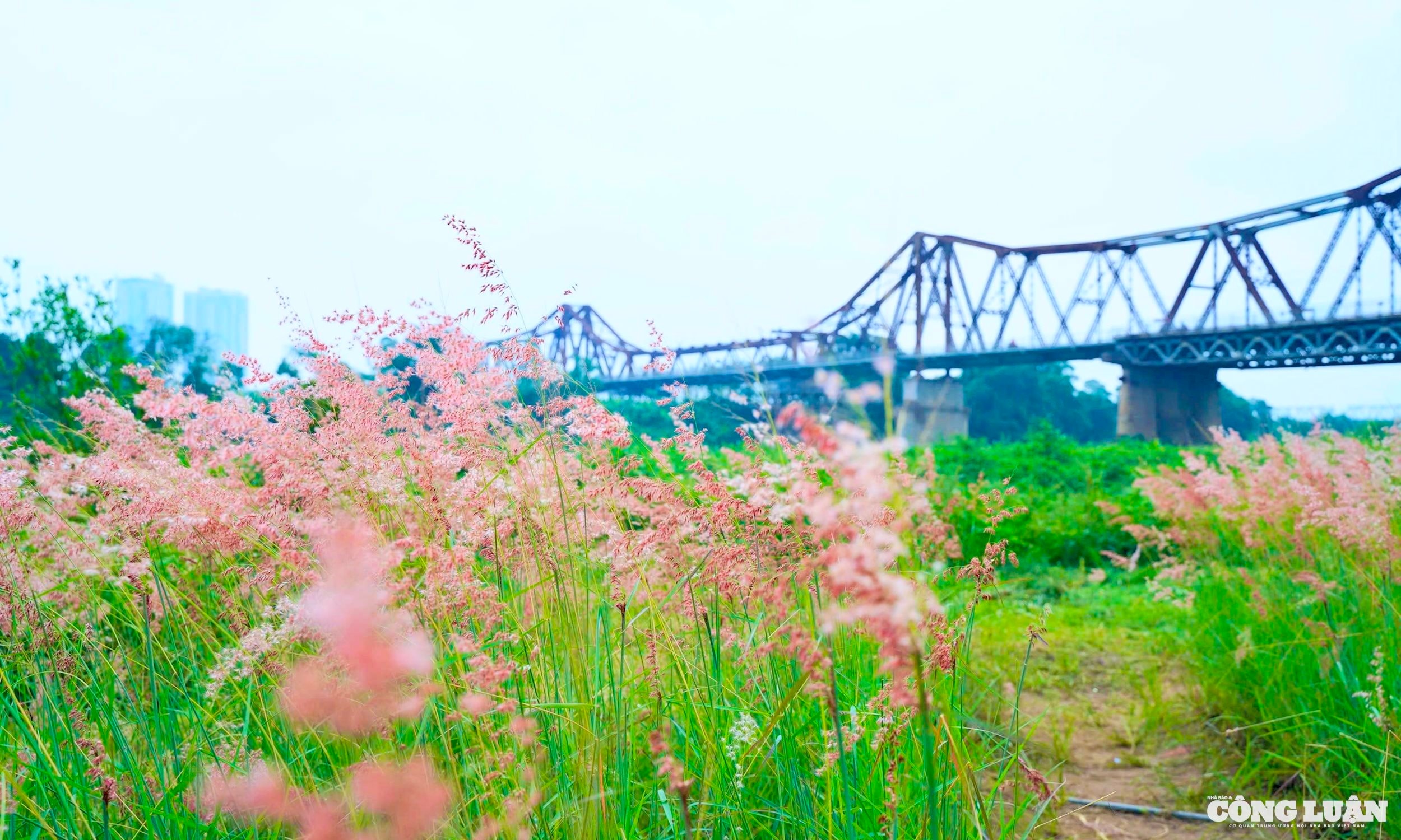 5855bade-9d22-4a3f-a6e2-7f2d2c446964_1_201_a.jpeg